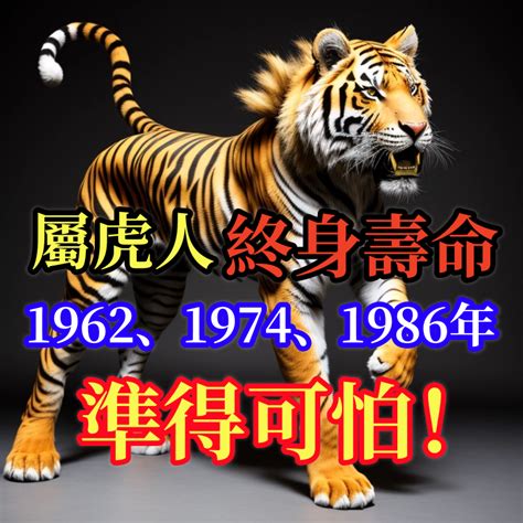 1986年生肖五行|1986年屬虎是什麼命？最全虎命命相批註！